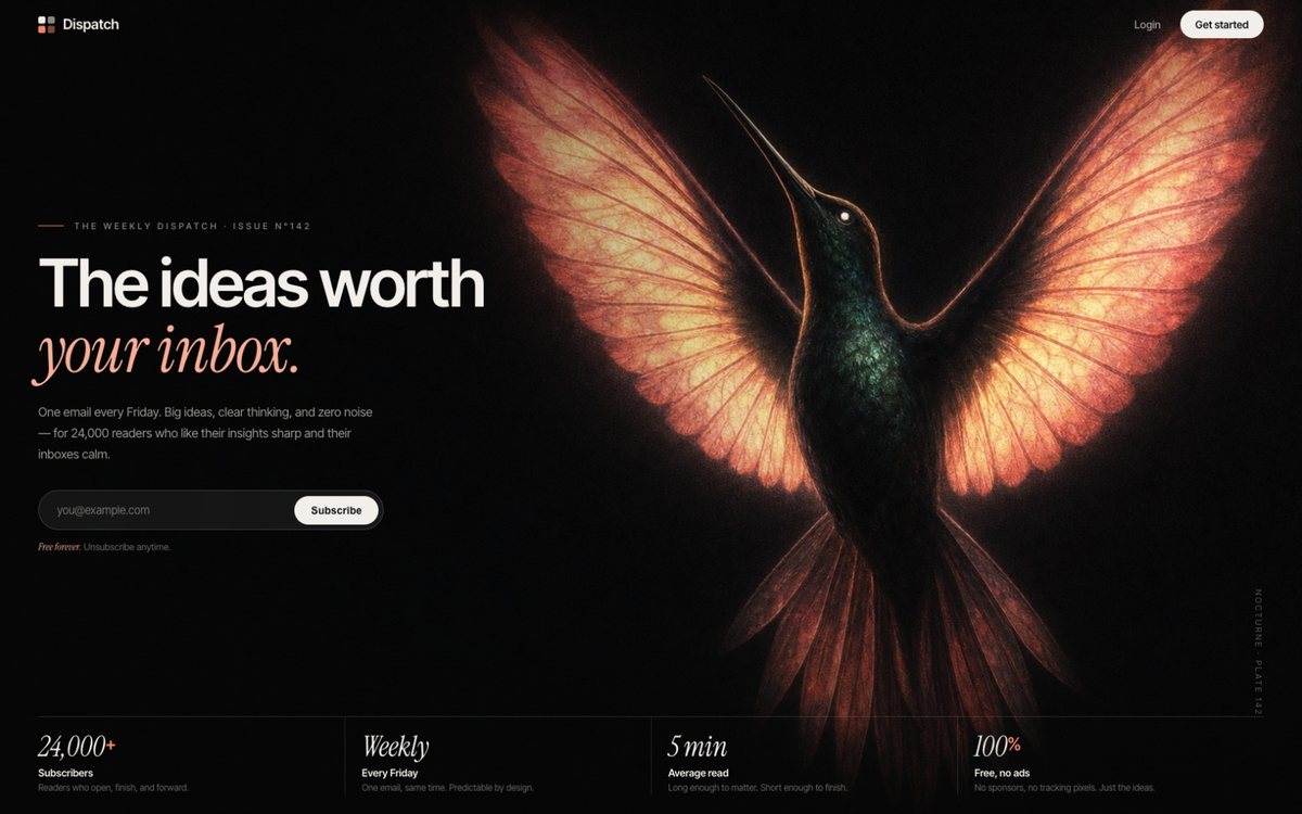 Nocturne Hummingbird newsletter hero — painterly illustration of a hummingbird with glowing translucent coral wings filling the right two-thirds of a near-black page, quiet grotesk and italic serif headline on the left, vertical plate caption, and a hairline stats dock